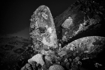  Hilma Hooker Wreck 