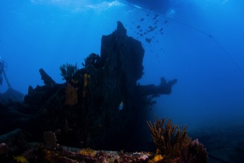  Benwood Wreck 