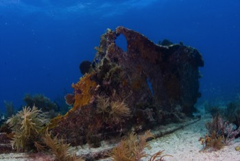  Benwood Wreck 