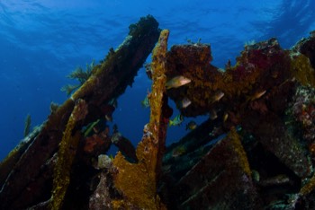  Benwood Wreck 