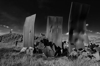  Sculpture Park - A sea of steel 