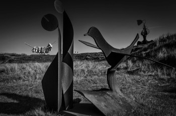  Sculpture Park - A sea of steel 