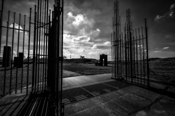  Sculpture Park - A sea of steel 