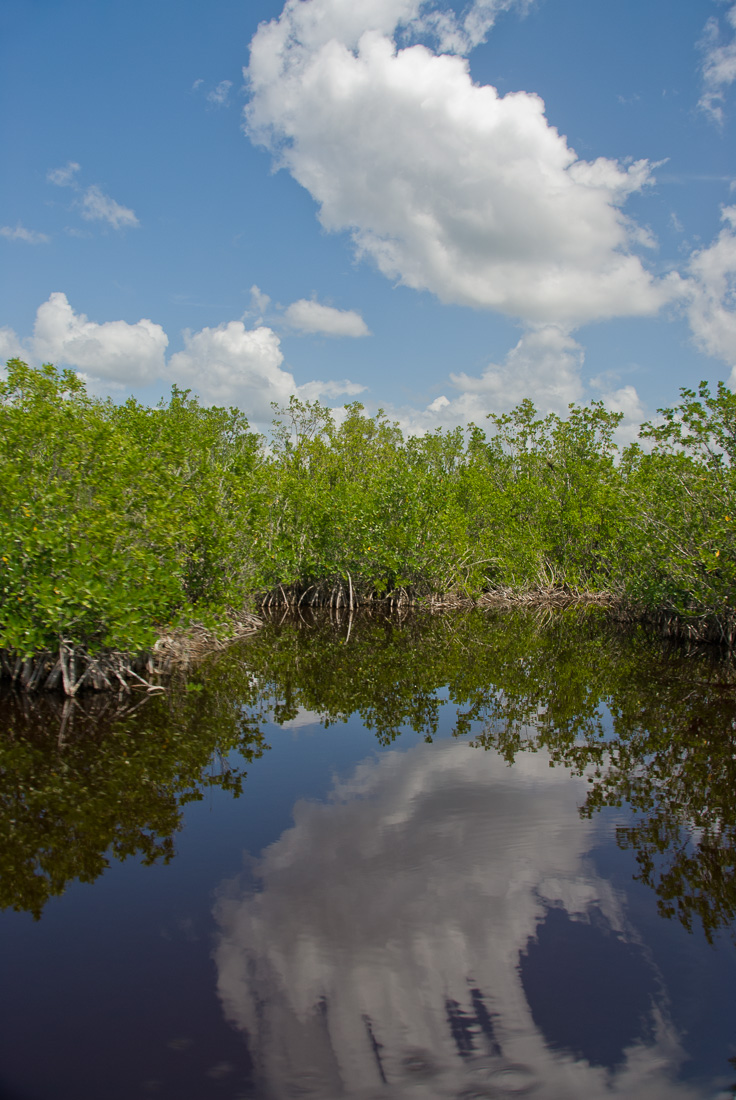  Everglades 