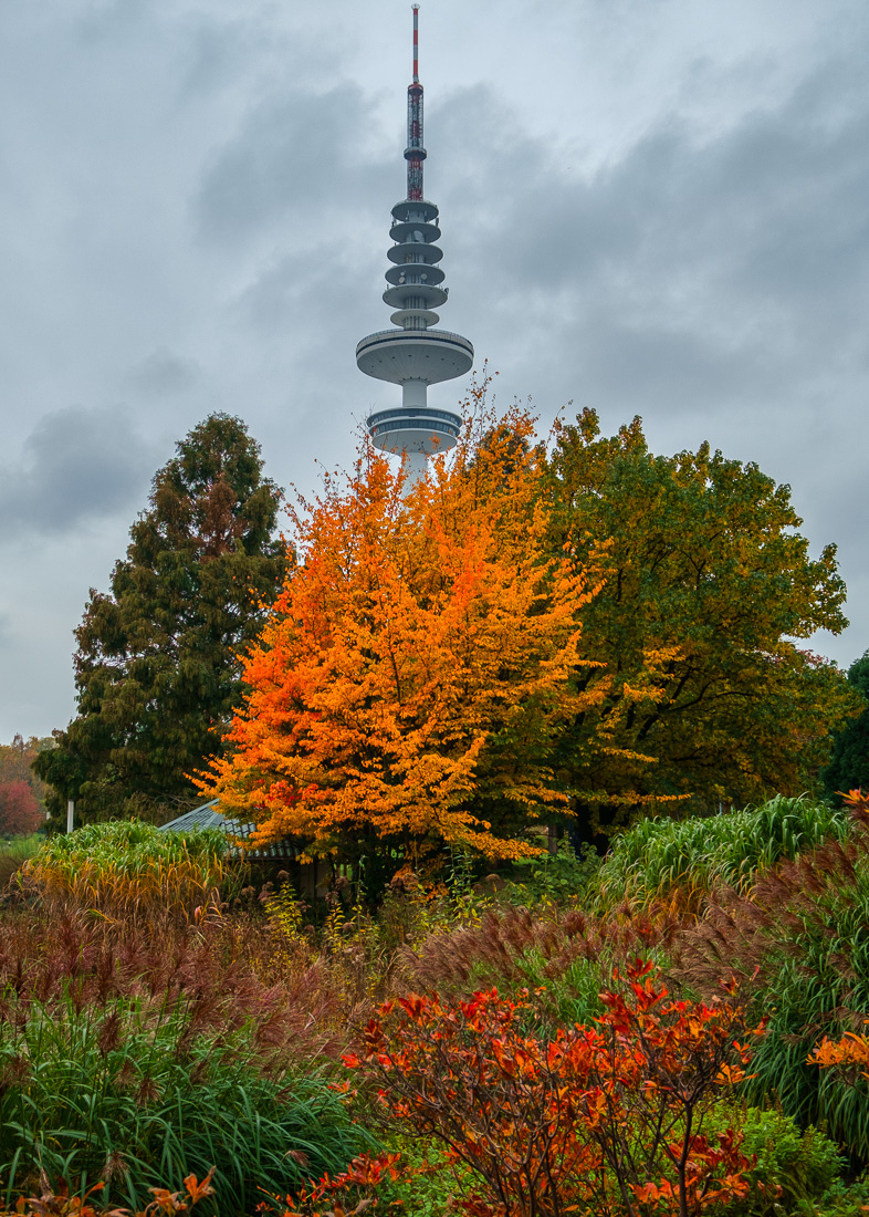 Plants and Flowers Park 
