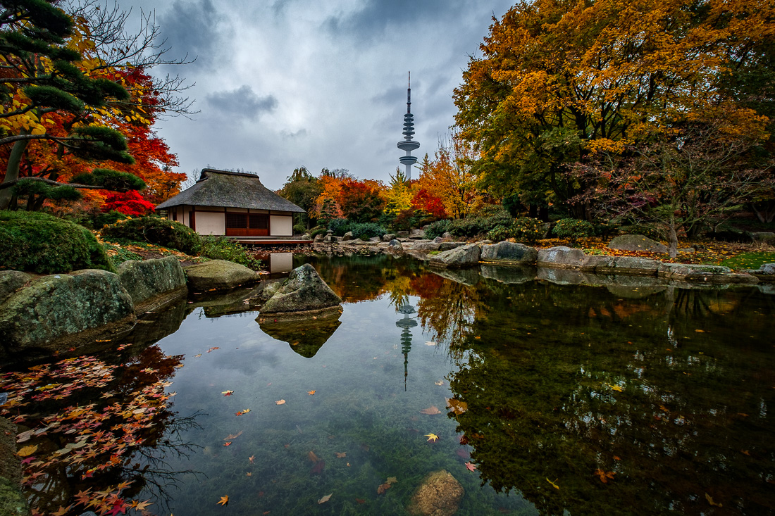  Plants and Flowers Park 