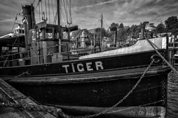  Tiger Tugboat 