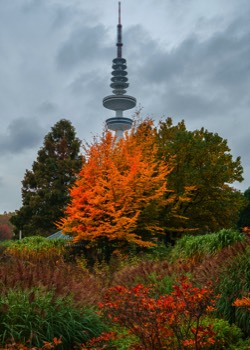  Plants and Flowers Park 