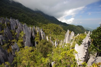  The Pinnacles, Gunung Mulu 