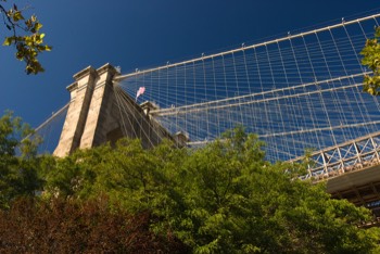  Brooklyn Bridge 