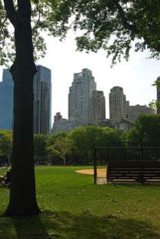  Central Park 