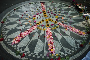  Strawberry Graden, Central Park 