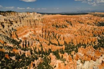  Amphitheatre, Bryce Canyon 