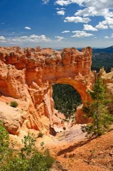  Natural Bridge, Bryce Canyon 