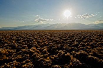  Devils Golf Course, Death Valley 