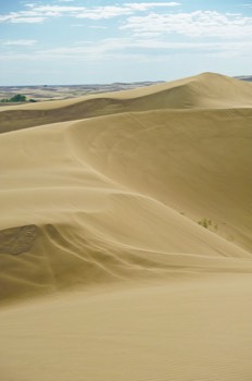  St. Anthony Sand Dunes, Idaho 