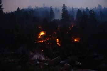  Sheep Fire near Cedar Grove 