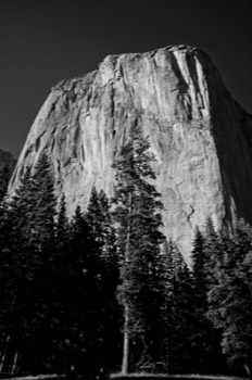  El Capitan 