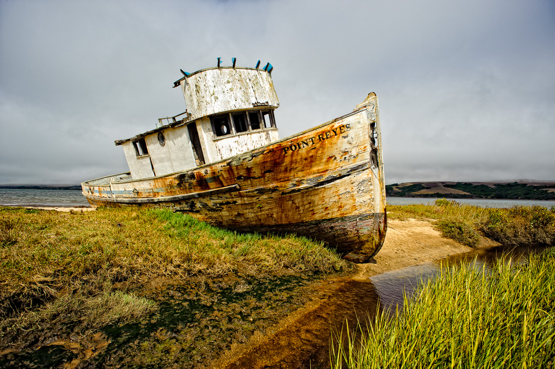  Golden-mantled ground squirrel 