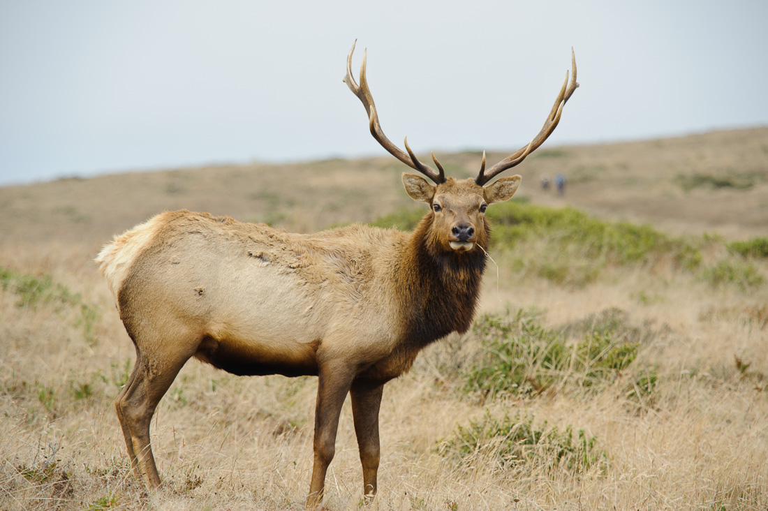 Milky Way from Sentinel Dome 