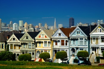  Painted Ladies 