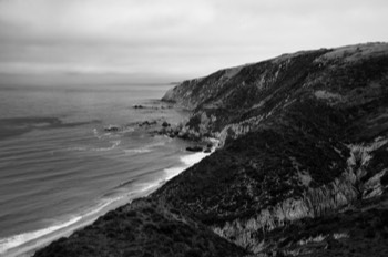  Tomales Point 