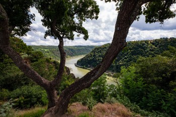  Loreley Rock Viewpoint 