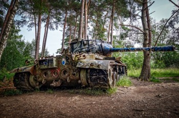  Panzer in the forest 