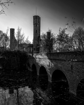  Ruins of Castle Ter Elst 