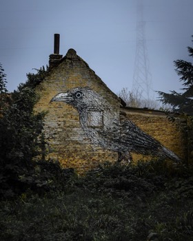  Ghost Town of Doel, Antwerp 