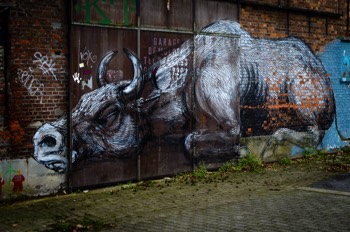  Ghost Town of Doel, Antwerp 